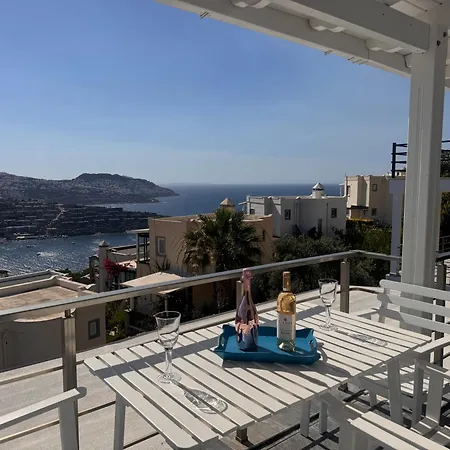 Villa Olive Bay Willa